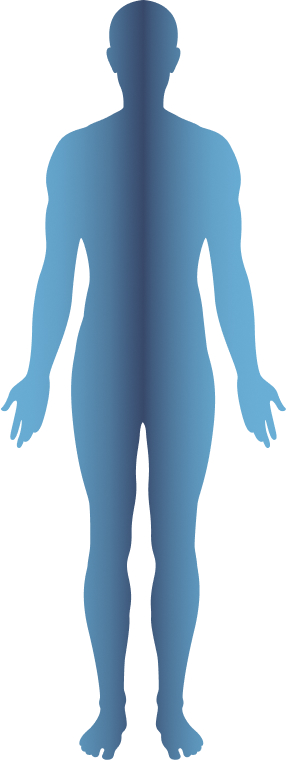 Human body diagram